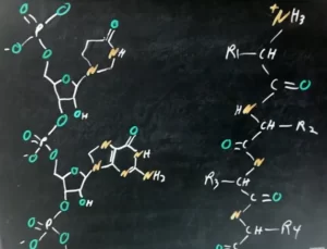 منشأ نامگذاری متداول آمینو اسید ها ترکیبات آروماتیک و کربوکسیلیک اسیدها