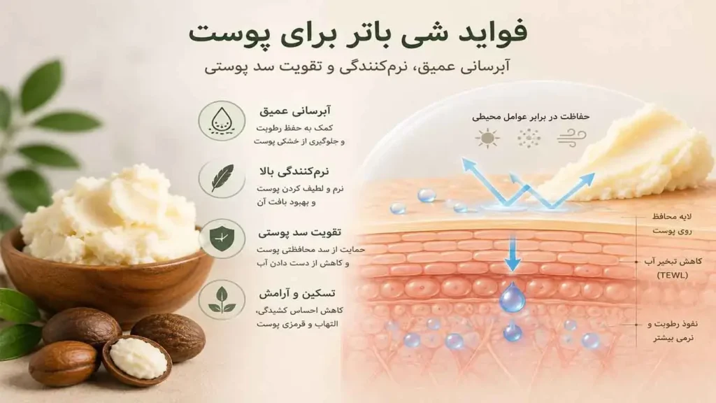 فواید شی باتر برای پوست