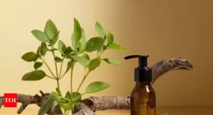 10 کاربرد روغن درخت چای