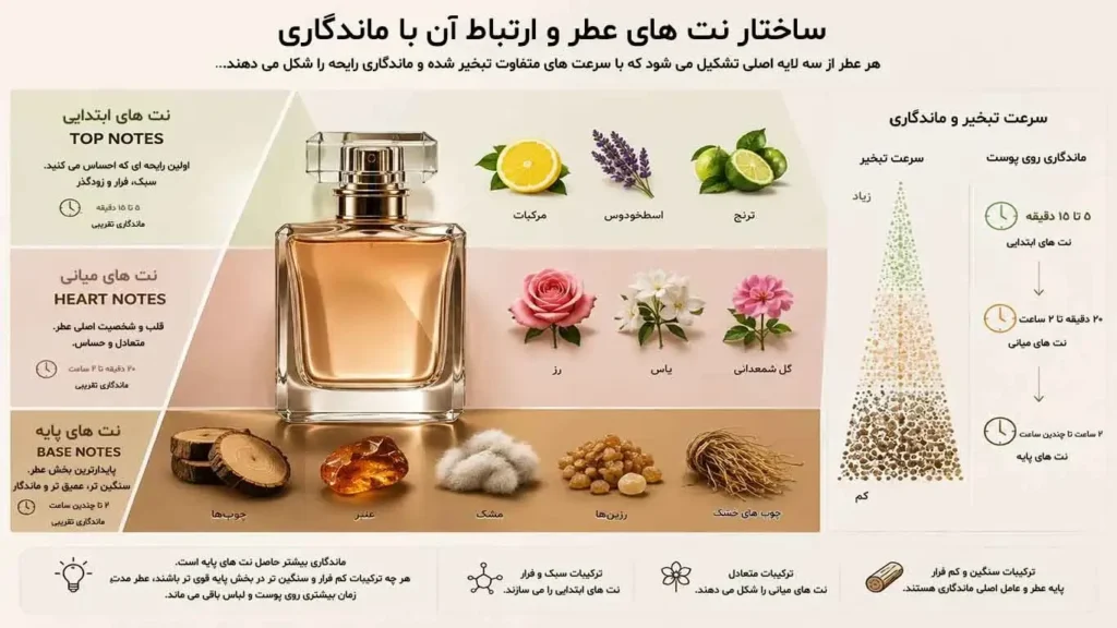 ساختار نت های عطر و ارتباط آن با ماندگاری