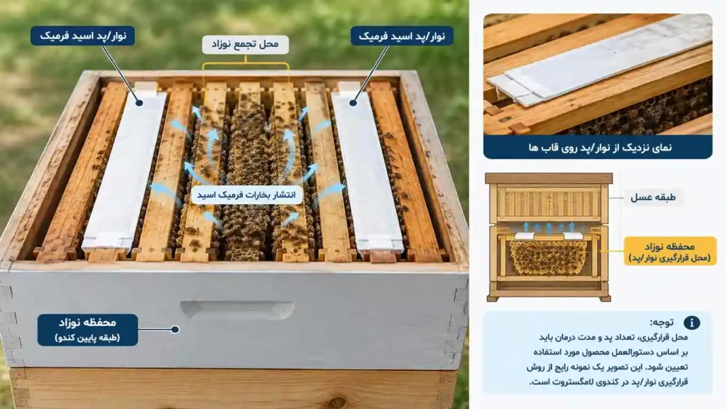 محل صحیح قرارگیری پد اسید فرمیک در کندوی زنبور عسل