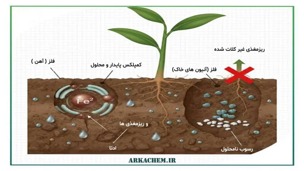 کلات در کشاورزی و تغذیه گیاه